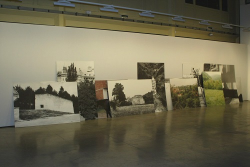 img-6.jpg